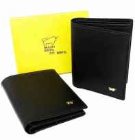 BRAUN BUFFEL