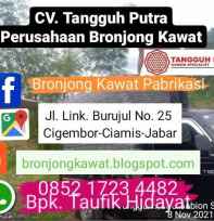 Bronjong Kawat