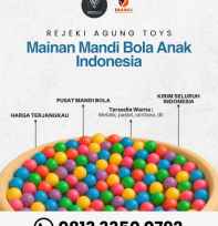 mainan mandi bola