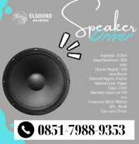 Speaker Driver