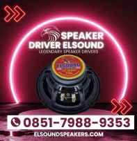 Speaker Driver