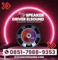 Speaker Driver