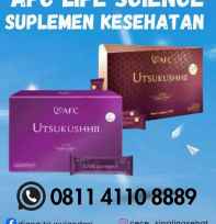 Distributor Agen AFC