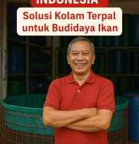 Budidaya Ikan Lele