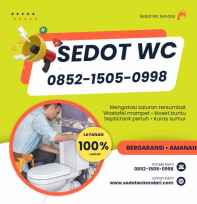 Sedot Wc Kendari