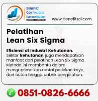 pelatihan lean sigma