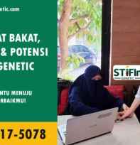 Tes STIFIn