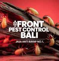 Jasa Anti Rayap