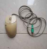 Mouse