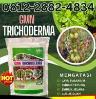 Pupuk Pertanian