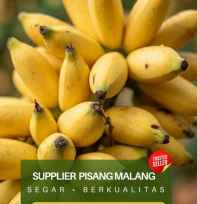 Supplier Pisang