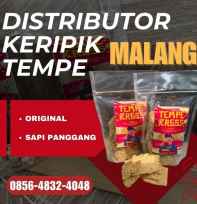 Keripik Tempe
