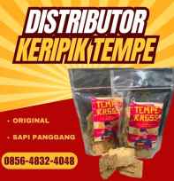 Keripik Tempe