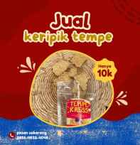 keripik tempe kering