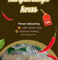keripik tempe
