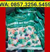 Maisha Frozen