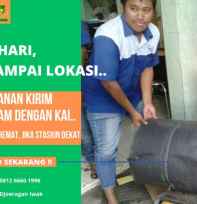 Kolam Terpal Ikan