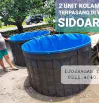 Terpal Budidaya Lele