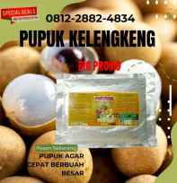 Pupuk Kelengkeng