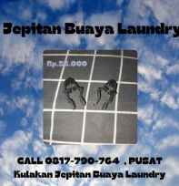 Jepitan Buaya Laundry
