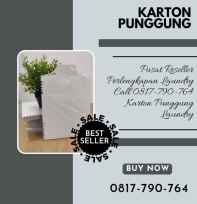 Karton punggung