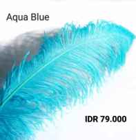 Ostrich Feather