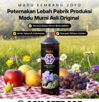 Jual Madu
