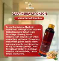 Madu Stamina Pria