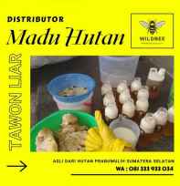 Madu Hutan Liar