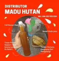 Madu Hutan Liar