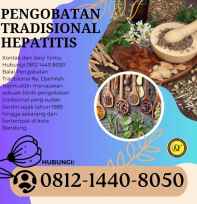 pengobatan hepatitis