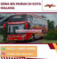 Sewa Bus