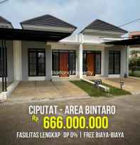rumah tangerang selatan