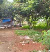 tanah bogor