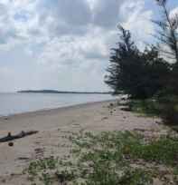 tanah ketapang