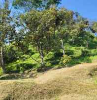 tanah leuwiliang