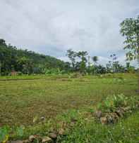 tanah pamijahan