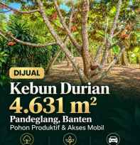 tanah pandeglang
