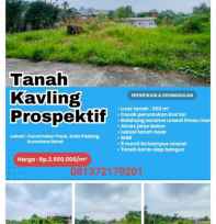 tanah pauh