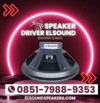 Speaker Driver