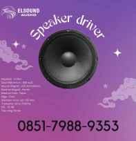 Speaker Driver