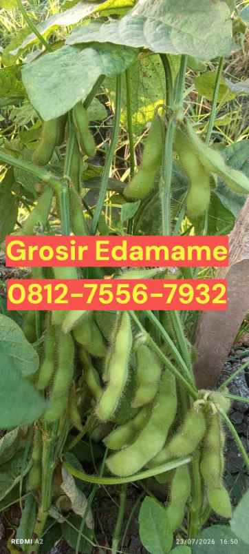 makanan dan minuman karanganyar
