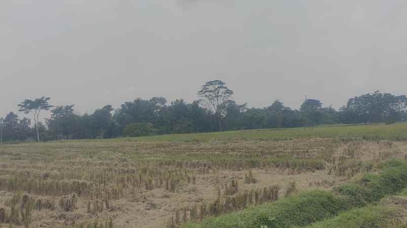 tanah talun