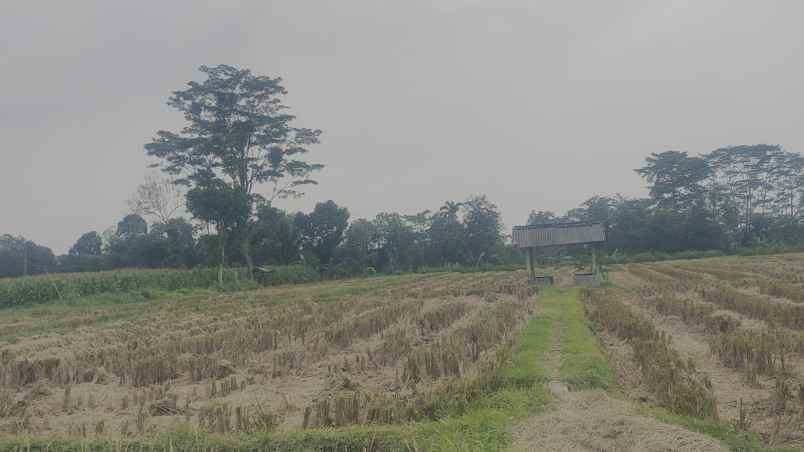 tanah talun