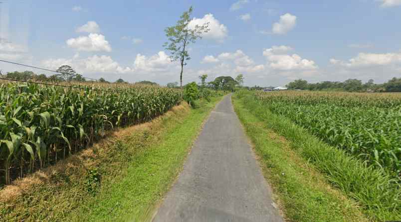 tanah talun