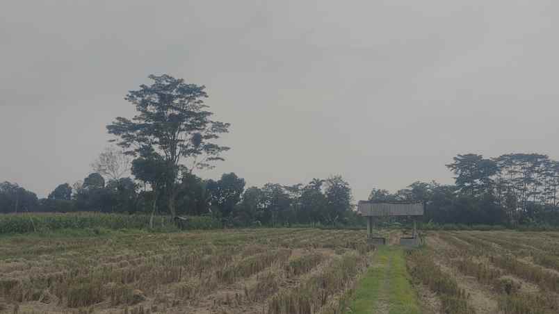 tanah talun