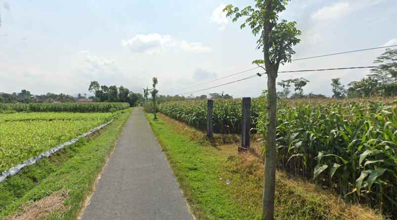 tanah talun