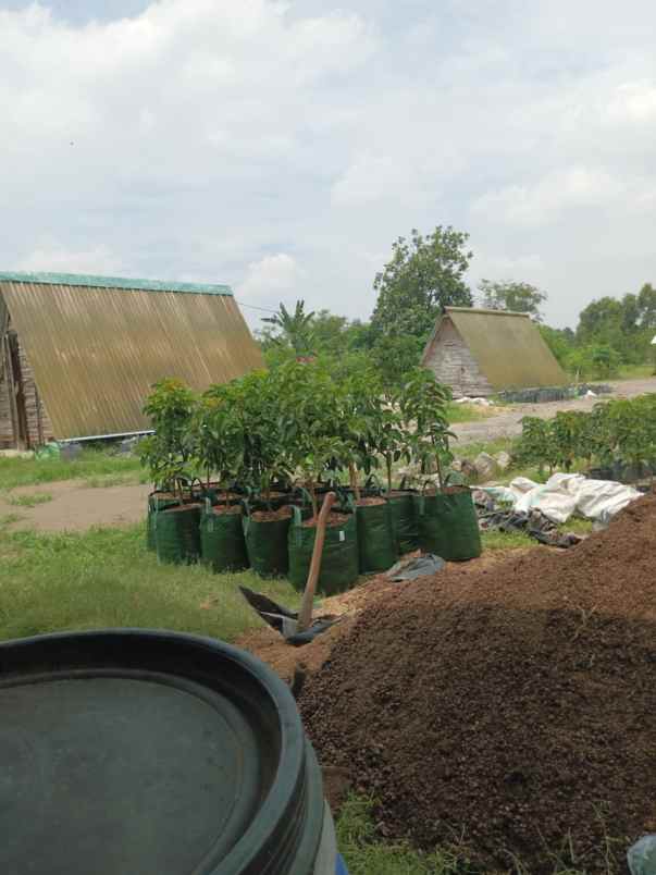 produk lain bangkalan