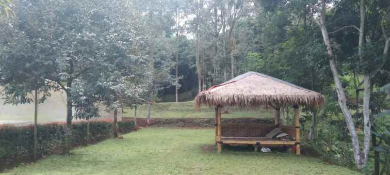 tanah cijeruk