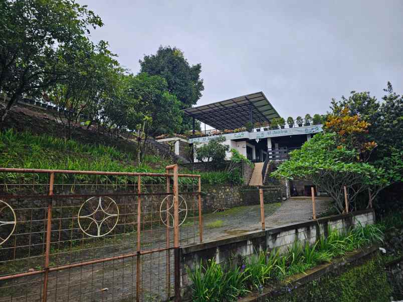 tanah cijeruk